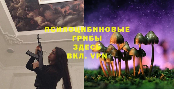 трава Абинск