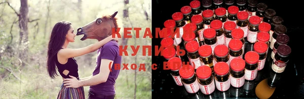 сатива Абаза